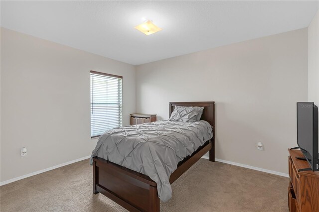 6523 Evergreen Park Dr, Lakeland, FL 33813 - photo 19
