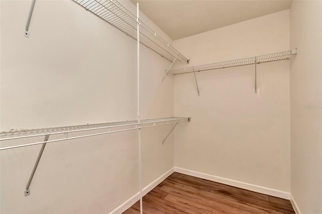 walk in closet featuring wood finished floors