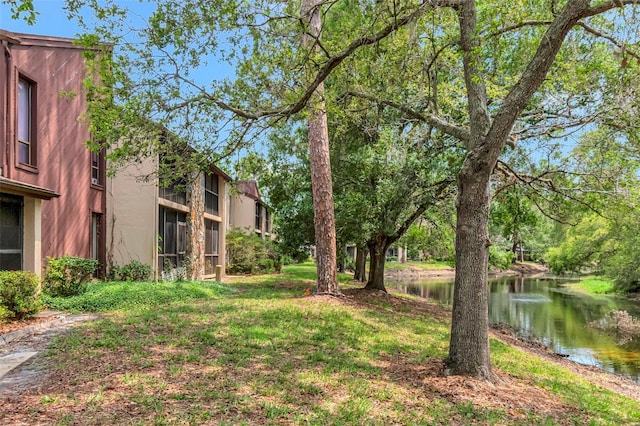 1200 Tarpon Woods Blvd Unit M8, Palm Harbor, FL 34685 - photo 28