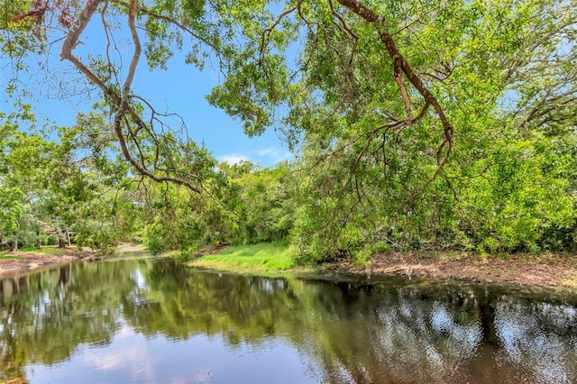 1200 Tarpon Woods Blvd Unit M8, Palm Harbor, FL 34685 - photo 32