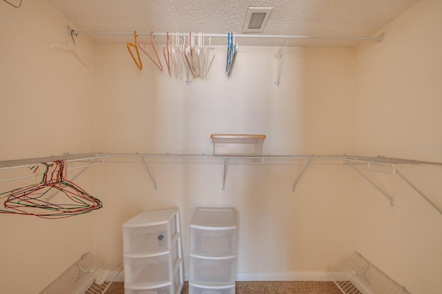 17408 Gulf Blvd Unit 203, Redington Shores, FL 33708 - view of spacious closet
