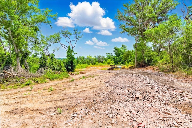 Dan Brown Hill Rd, Brooksville, FL 34602 - photo 2