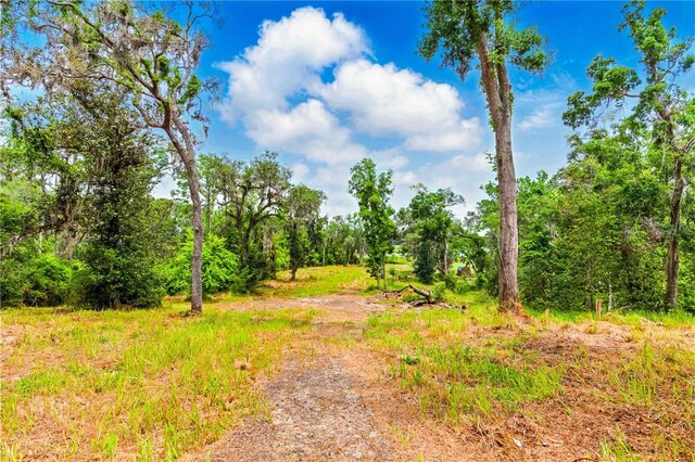 Dan Brown Hill Rd, Brooksville, FL 34602 - photo 4
