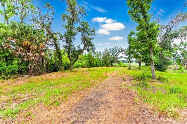 Dan Brown Hill Rd, Brooksville, FL 34602 - photo 5