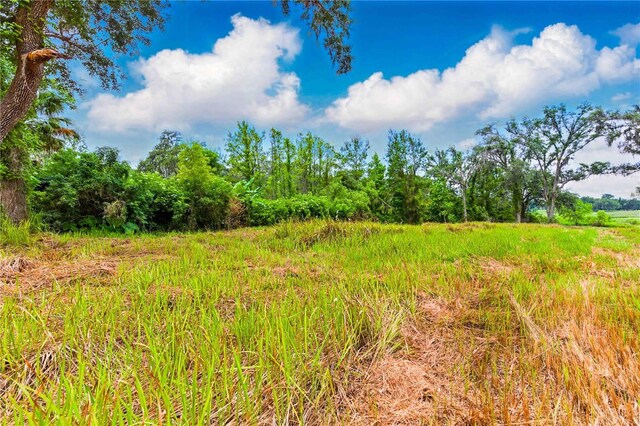 Dan Brown Hill Rd, Brooksville, FL 34602 - photo 6
