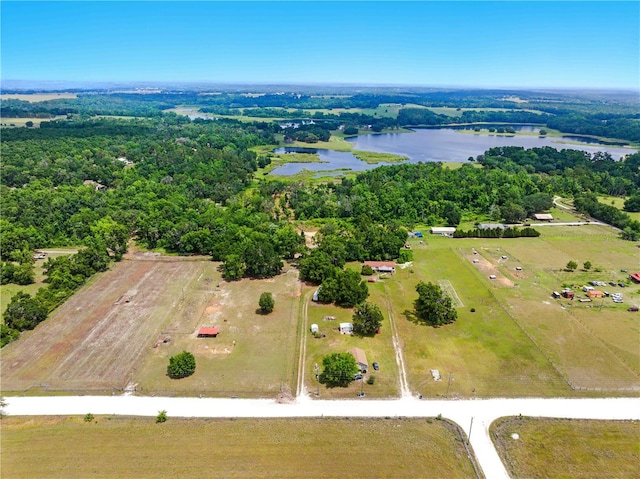 Dan Brown Hill Rd, Brooksville, FL 34602 - photo 8