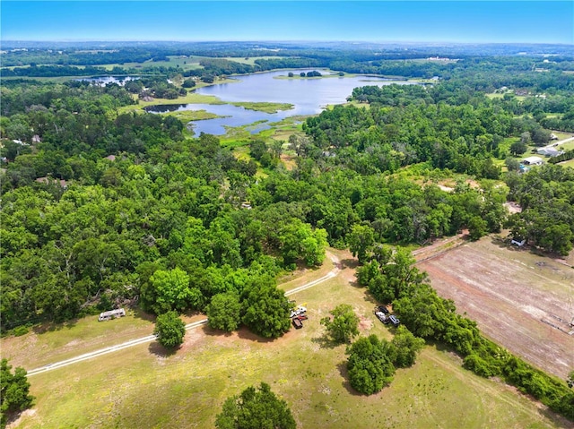 Dan Brown Hill Rd, Brooksville, FL 34602 - photo 11
