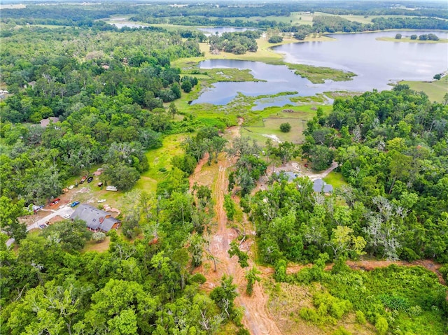 Dan Brown Hill Rd, Brooksville, FL 34602 - photo 13