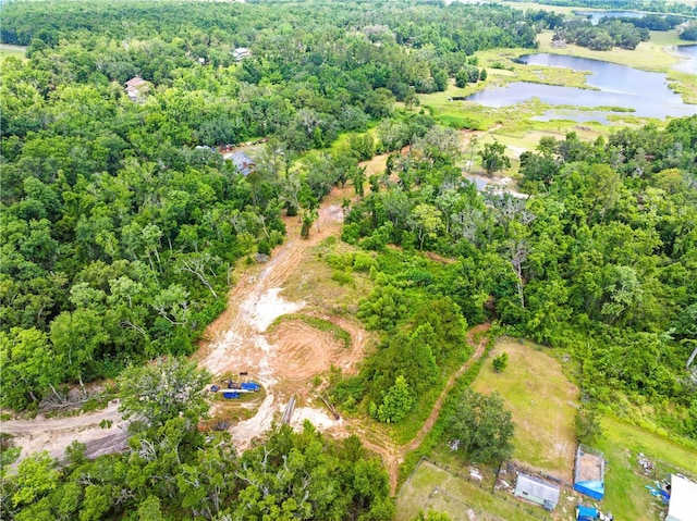 Dan Brown Hill Rd, Brooksville, FL 34602 - photo 14