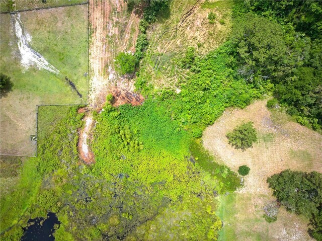Dan Brown Hill Rd, Brooksville, FL 34602 - photo 17