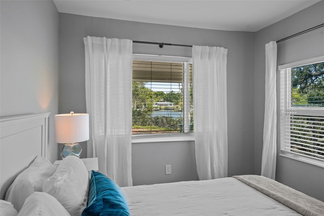 608 Betmor Ln, Palm Harbor, FL 34683 - bedroom with a water view