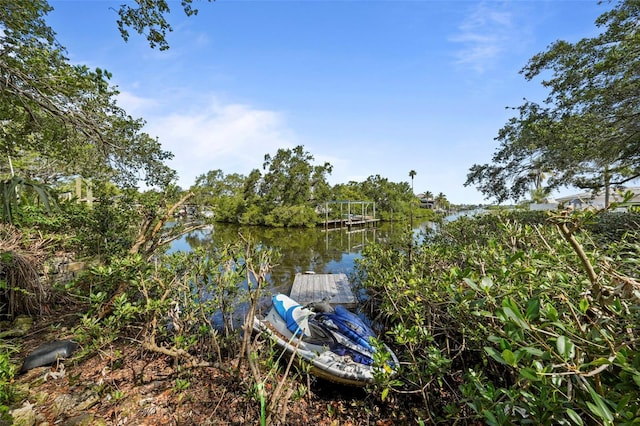 608 Betmor Ln, Palm Harbor, FL 34683 - dock featuring a water view
