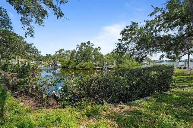 608 Betmor Ln, Palm Harbor, FL 34683 - water view