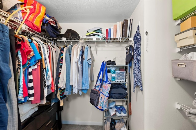 spacious closet featuring carpet