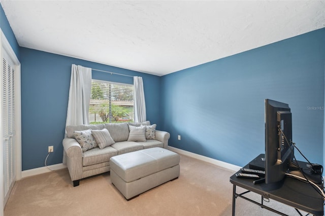 143 Lakeside Dr Unit 143, Oldsmar, FL 34677 - living area featuring carpet flooring and baseboards
