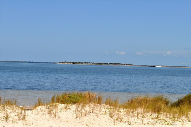322 Windrush Loop Unit 22, Tarpon Springs, FL 34689 - water view