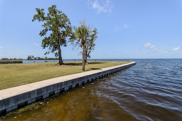 322 Windrush Loop Unit 22, Tarpon Springs, FL 34689 - dock area with a lawn and a water view