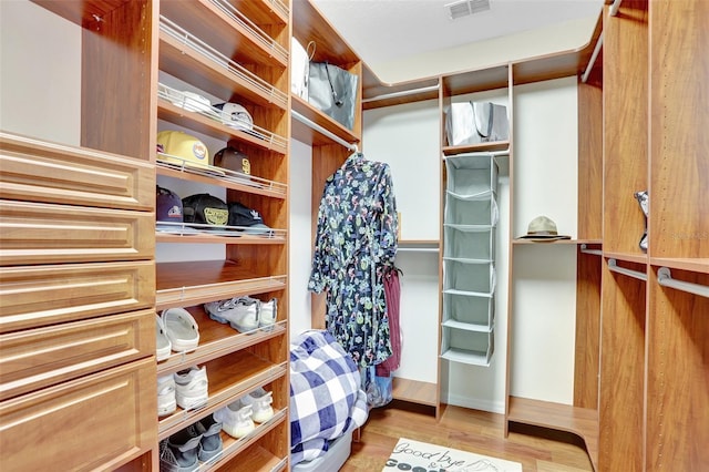 13708 Old Dock Rd, Orlando, FL 32828 - spacious closet with wood finished floors