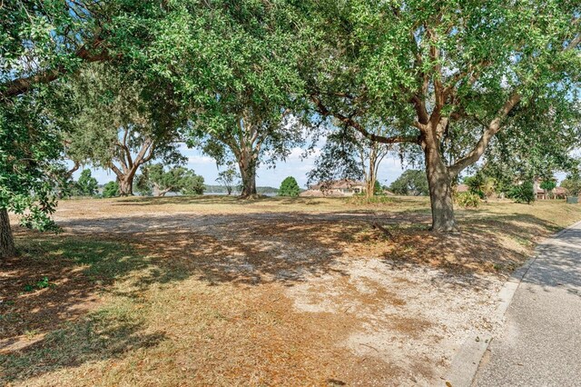 12133 Stonelake Ranch Blvd, Thonotosassa, FL 33592