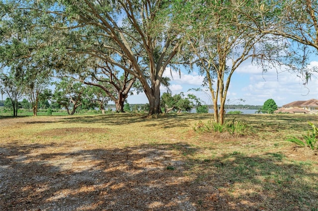 12133 Stonelake Ranch Blvd, Thonotosassa, FL 33592