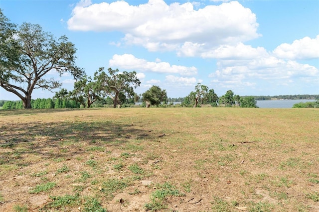 12133 Stonelake Ranch Blvd, Thonotosassa, FL 33592