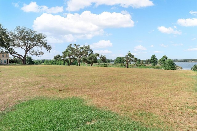 12133 Stonelake Ranch Blvd, Thonotosassa, FL 33592