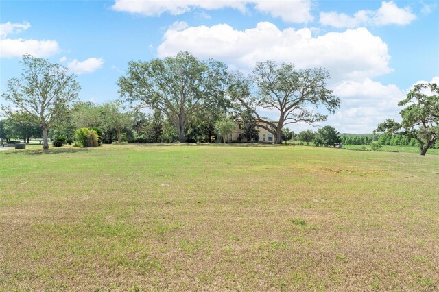 12133 Stonelake Ranch Blvd, Thonotosassa, FL 33592