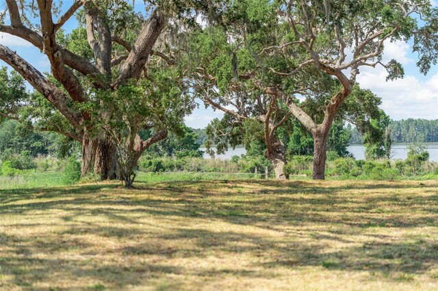 12133 Stonelake Ranch Blvd, Thonotosassa, FL 33592