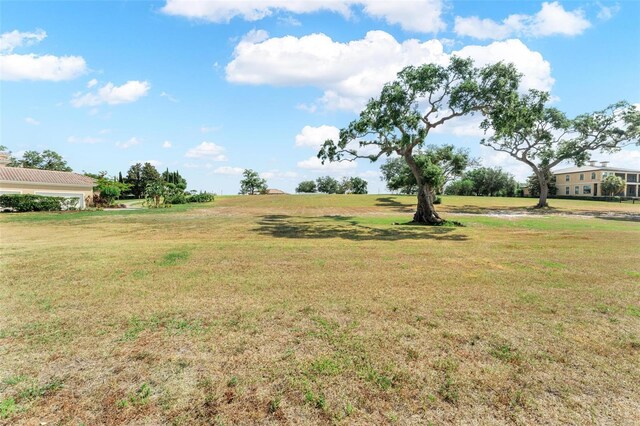 12133 Stonelake Ranch Blvd, Thonotosassa, FL 33592