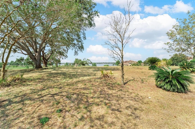 12133 Stonelake Ranch Blvd, Thonotosassa, FL 33592