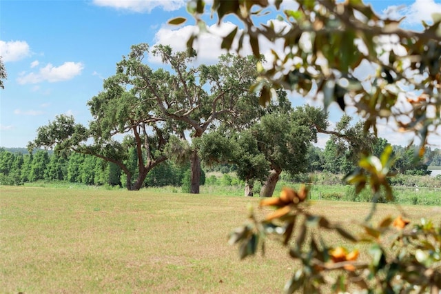 12133 Stonelake Ranch Blvd, Thonotosassa, FL 33592
