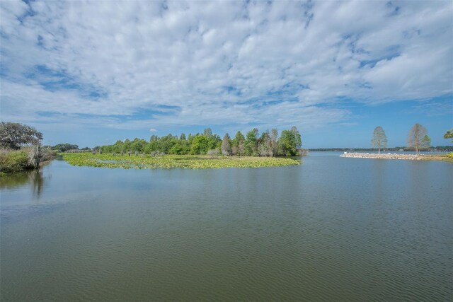12133 Stonelake Ranch Blvd, Thonotosassa, FL 33592