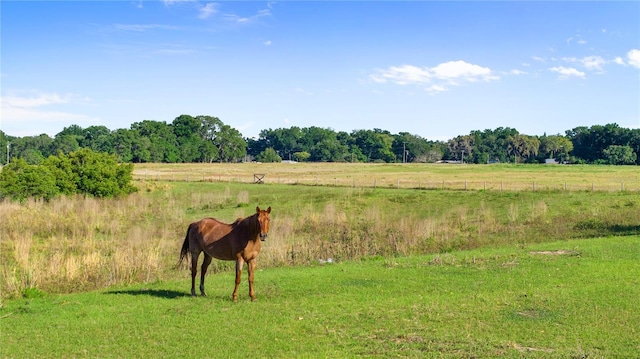 12133 Stonelake Ranch Blvd, Thonotosassa, FL 33592