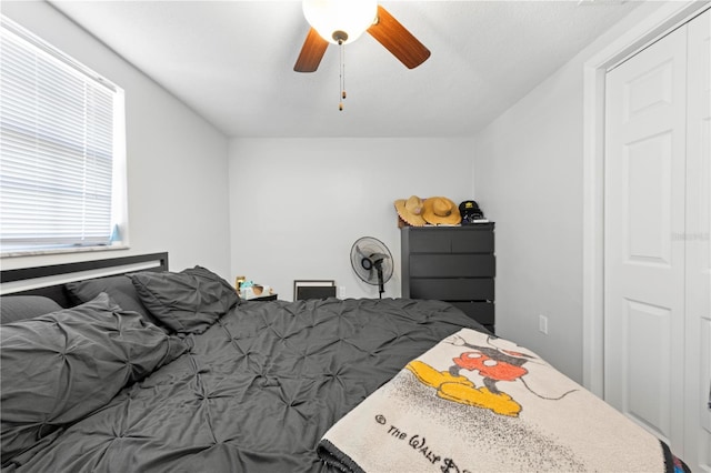 9126 Greenbriar Ln, Port Richey, FL 34668 - bedroom with ceiling fan