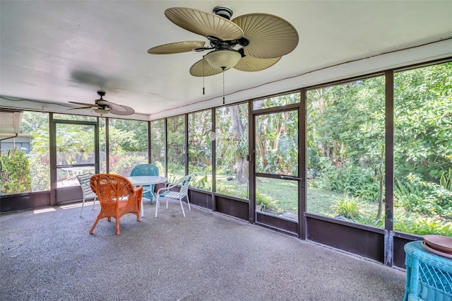 3224 Hilary Cir, Palm Harbor, FL 34684 - sunroom / solarium featuring a ceiling fan and outdoor dining area