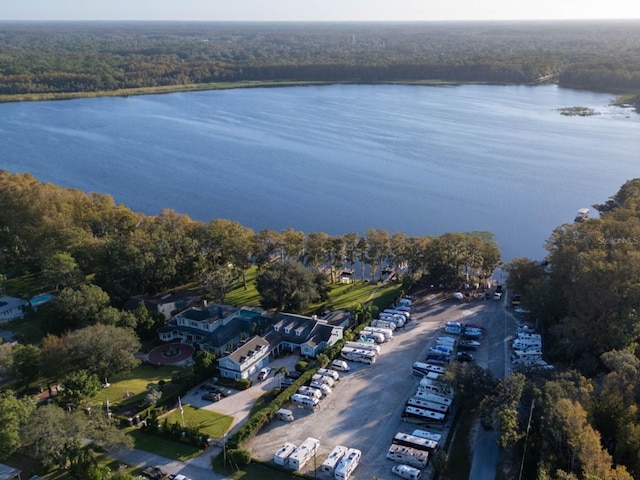 3224 Hilary Cir, Palm Harbor, FL 34684 - drone / aerial view of a nearby body of water and a heavily wooded area