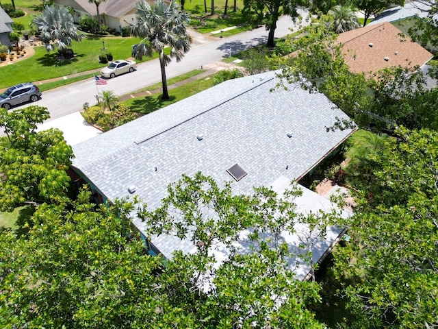 3224 Hilary Cir, Palm Harbor, FL 34684 - view of subject property