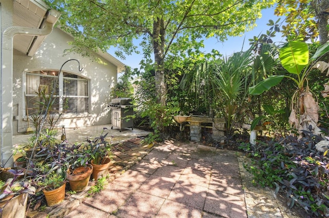11446 Sinatra Ct, New Port Richey, FL 34654 - view of patio