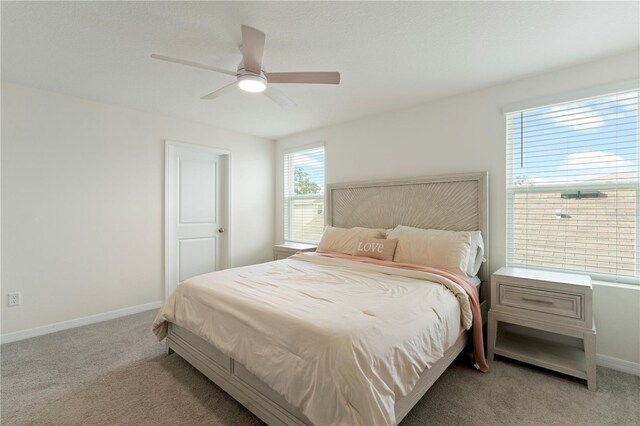 13734 Whiskey Daisy Dr, Dade City, FL 33525 - photo 20