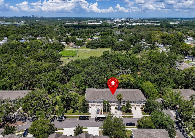 4732 Ashburn Pond Way, Tampa, FL 33610 - drone / aerial view