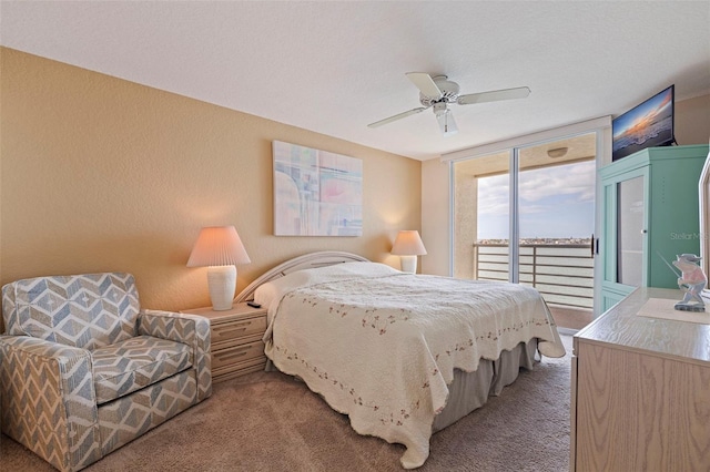 6105 Bahia Del Mar Cir Unit 683, Saint Petersburg, FL 33715 - carpeted bedroom with access to outside, expansive windows, a ceiling fan, and a textured wall