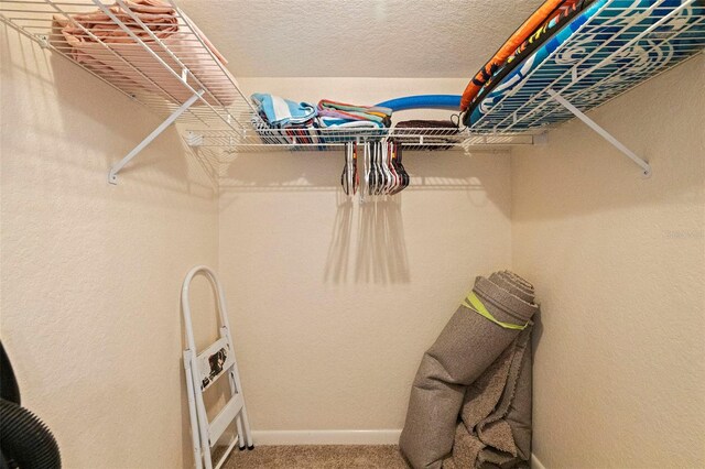 6105 Bahia Del Mar Cir Unit 683, Saint Petersburg, FL 33715 - spacious closet with carpet flooring