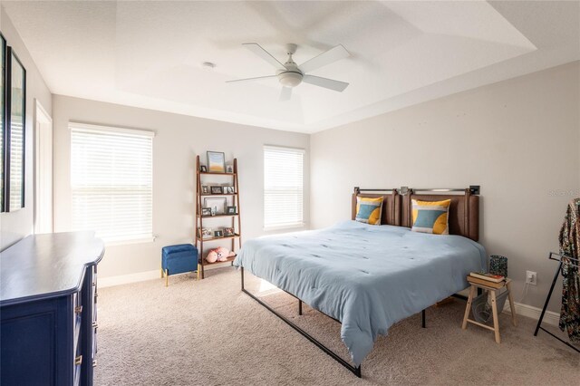 17847 Althea Blue Pl, Lutz, FL 33558 - bedroom featuring carpet floors, baseboards, and a raised ceiling