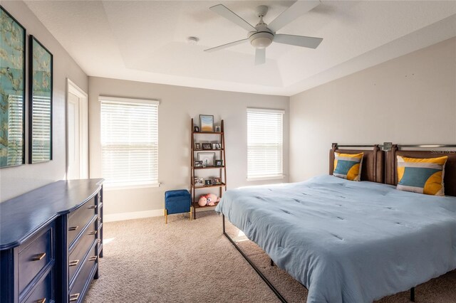17847 Althea Blue Pl, Lutz, FL 33558 - bedroom with a tray ceiling, carpet floors, multiple windows, and baseboards