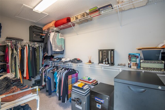 17847 Althea Blue Pl, Lutz, FL 33558 - walk in closet with carpet floors and attic access
