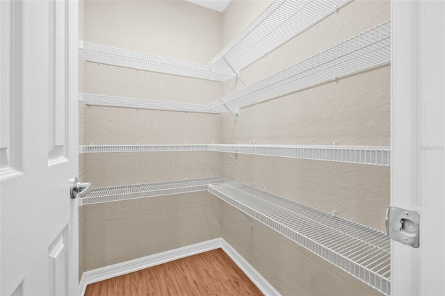 6937 Gideon Cir, Zephyrhills, FL 33541 - view of pantry