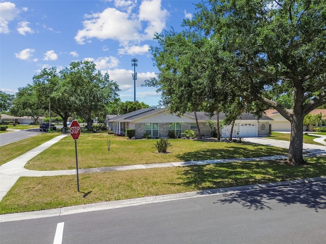 10408 Butia Pl, Tampa, FL 33618 - photo 5
