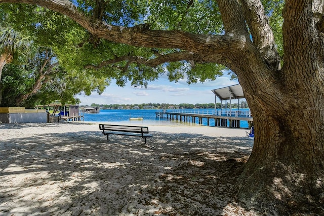 10408 Butia Pl, Tampa, FL 33618 - photo 23