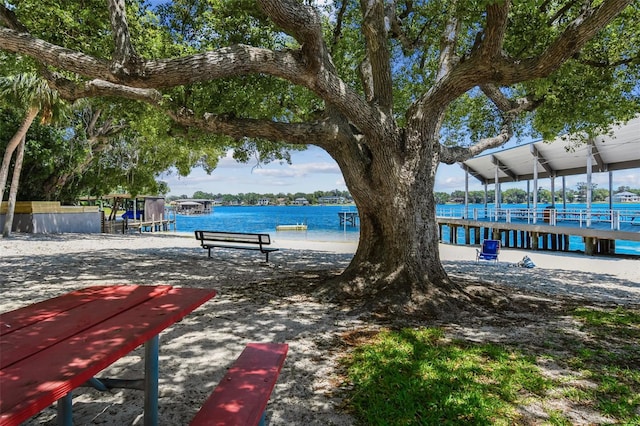 10408 Butia Pl, Tampa, FL 33618 - photo 24