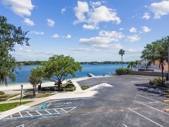 10408 Butia Pl, Tampa, FL 33618 - photo 25
